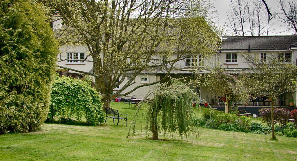 Tumbling Weir Hotel Ottery St Mary Exteriör bild