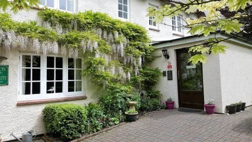 Tumbling Weir Hotel Ottery St Mary Exteriör bild